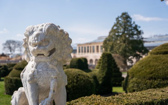 a statue of a foo dog in front of topiary trees